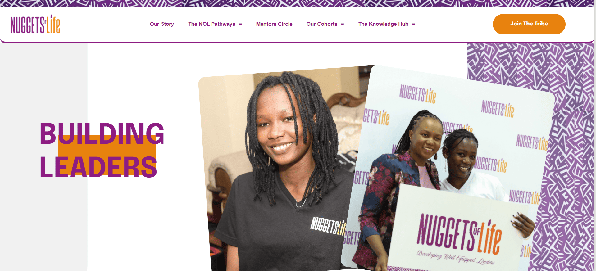 Pinch%20africa%20websites%20(16)
